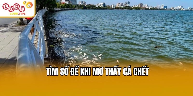 Tìm số đề khi mơ thấy cá chết