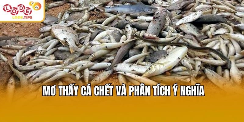 Mơ thấy cá chết và phân tích ý nghĩa